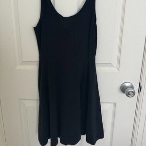 Express Skater Dress